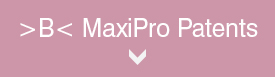 Maxi Pro patents