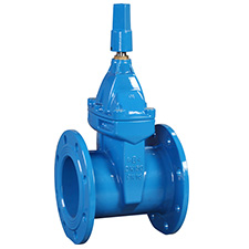 Industrial Gate Valves RVCX, Resilient Seated Gate Valve, PN 16 RVCX